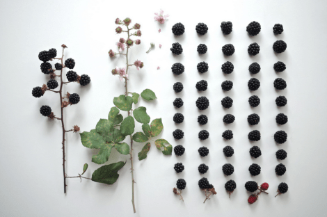 Screen Shot 2015-02-11 at 1.20.48 AM