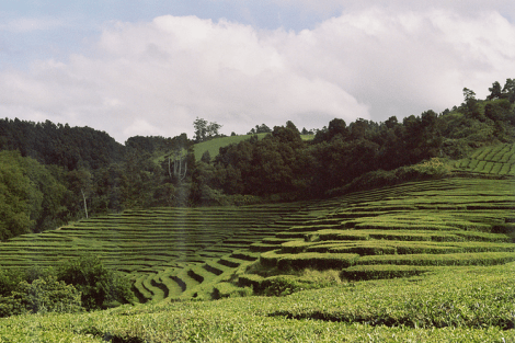 Screen Shot 2015-02-12 at 12.44.37 PM